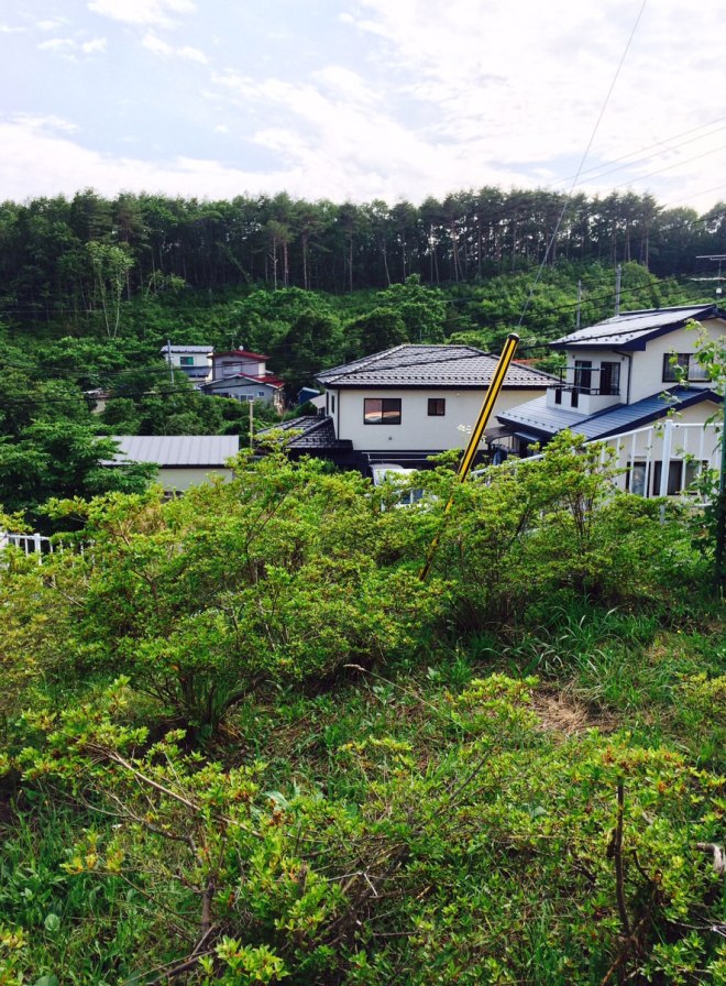 The hilltop homes of Taro.